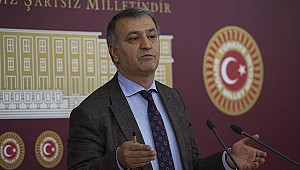 HDP milletvekili Mahmut Toğrul için hapis kararı