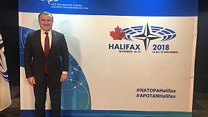 Osman Aşkın Bak'a NATO PA'da yeni görev