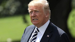 Başını kuma gömen canlıya Trump'ın adı verildi