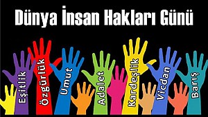  İnsan Hakları mı Dediniz?