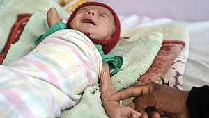 'İnsanlar ağaçları kesip yiyor'