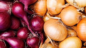 İslamda ticarette kar oranı yüzde kaçtır?