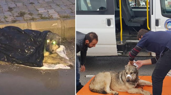 Öğrencilerden örnek davranış