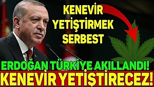 Erdoğan, kenevir üretimine başlıyoruz