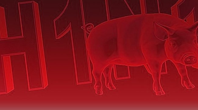 Hindistan'da domuz gribi salgını: 169 ölü