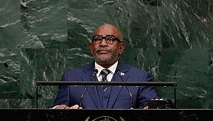 Kaşıkçı cinayeti hakkındaki sözleri tartışma yarattı