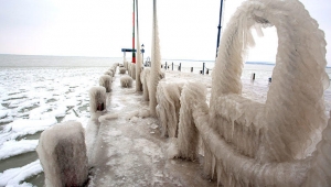 Macaristan'da 87 kişi donarak öldü