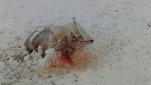 Srebrenitsa'da çirkin saldırı... Tepki yağdı