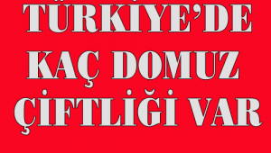 Türkiye’de Domuz Çiftlikleri, Kesimhaneleri ve Kullanma Yerleri