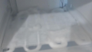 Üç çocuk oyun için girdikleri derin dondurucuda öldü