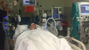 Bacağından kaptı, organlarını yemeye başladı