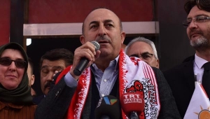 Dışişleri Bakanı Çavuşoğlu: Enselerinden tutup Türkiye'ye getireceğiz