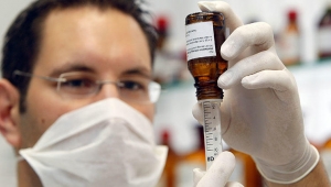 KKTC'de domuz gribi alarmı