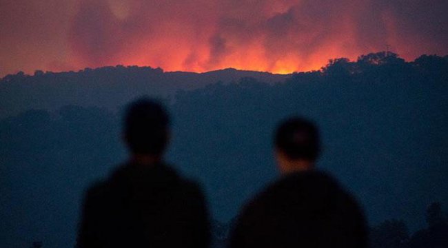 Yeni Zelanda'da orman yangını nedeniyle binlerce kişiyi tahliye edildi