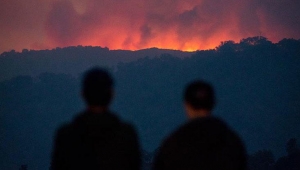 Yeni Zelanda'da orman yangını nedeniyle binlerce kişiyi tahliye edildi
