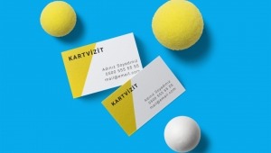 6 yılda CEO sayısı 7 kat arttı