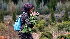 Avrupa'ya gitmek isteyen göçmenler yol boyunca tacize uğruyor