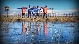 Kent ormanları ve yeşil alanlar insan ömrünü uzatıyor