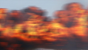 Çin'de kimya tesisinde patlama