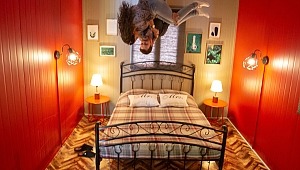 Dünya tersine döndü zannetmeyin!