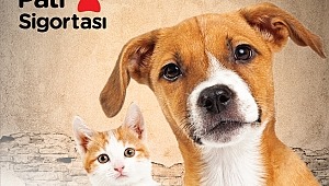 Pati Sigortası trafik kazasından kalp krizine dek pek çok riski kapsıyor