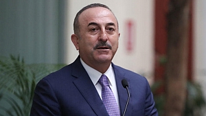 Bakan Çavuşoğlu'na Japonya İmparatorundan devlet nişanı