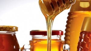 Çam balında 100 milyon dolar ihracat hedefi