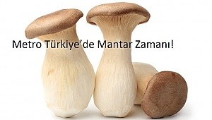 Metro Türkiye’de Mantar Zamanı!