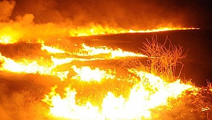 Terör örgütü YPG/PKK Tel Rıfat'ta sivillerin arazilerini yaktı
