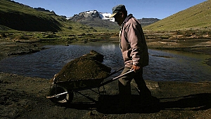 Washington'da 'insan gübreleme' yöntemi yasalaştı