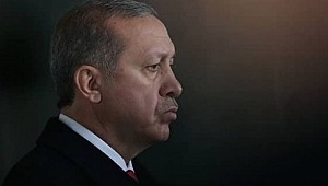 Ak Parti içindeki Pelikancılar kimdir?