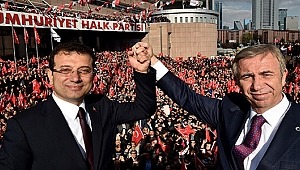 Belediye şirketlerine yönetici atama yetkisi belediye meclisindedir