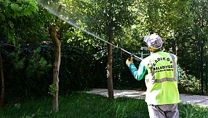 KADIKÖY BELEDİYESİ’NDEN TIRTILLA MÜCADELE