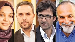 Türk siyasetinde Pelikan lekesi nedir ?