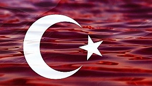 “Gökte Allah,yerde Devlet ortak kabul etmez!”