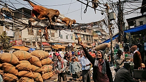 Hindistan vergisini ödeyenlerin isimlerini binalara ve yollara verecek