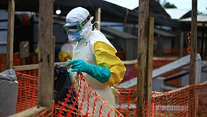 KDC'de bir haftada 48 kişi Ebola'dan öldü
