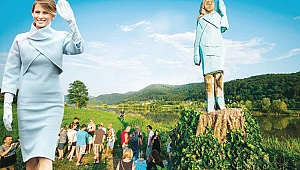 Melania görünümlü kütük