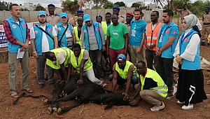 Cumhurbaşkanı Erdoğan'ın kurbanı Togo'da kesildi