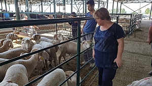 Eskişehir’de kurban bereketi yaşandı