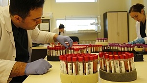 Türk Kızılay ilk 6 ayda kan bağışı hedeflerini yakaladı 