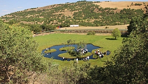 Ziyaretçi akınına uğruyor! Türkiye'nin yüzen adalarına yoğun ilgi