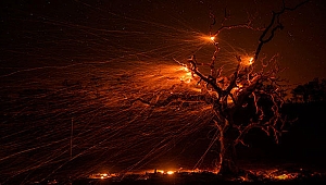 ABD şokta... Yağmalamalar başladı