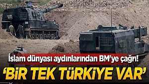 İslam dünyası aydınlarından BM'ye çağrı! 