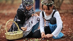 ‘‘Minik Eller Bereket Topluyor’’ 