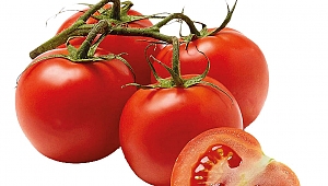 Sperm kalitesini arttırıyor