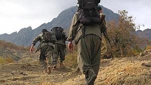 Teröristler nereye gidiyor?