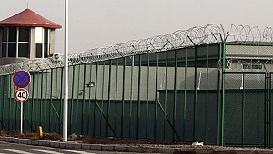 Kan donduran gizli belgeler sızdı: Asla izin vermeyin!