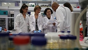 Kanserle Mücadelede Metastazdan Sorumlu Proteinler Yakalandı