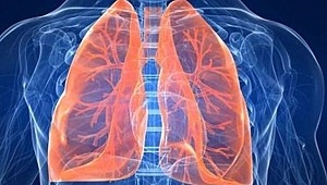  Kirli havada KOAH hastalarına öneriler